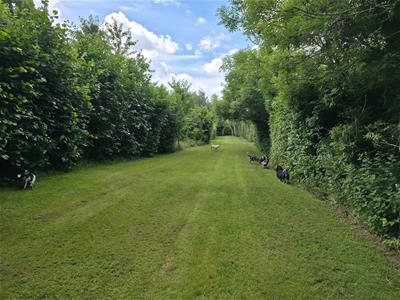 Picture 22